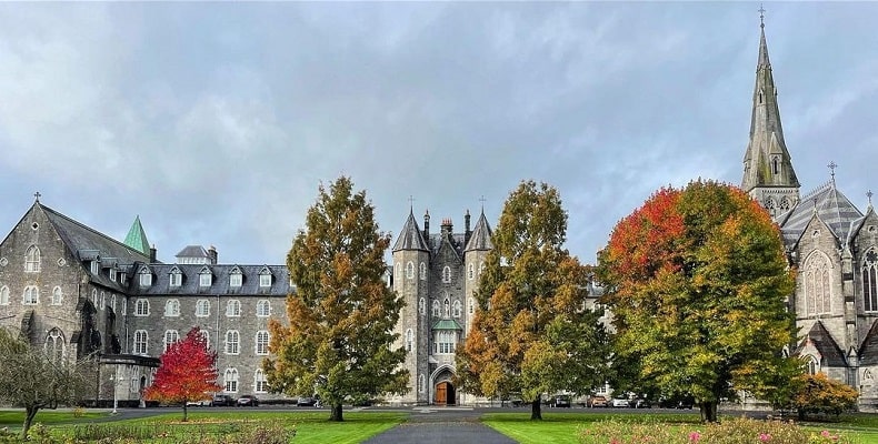 maynooth university